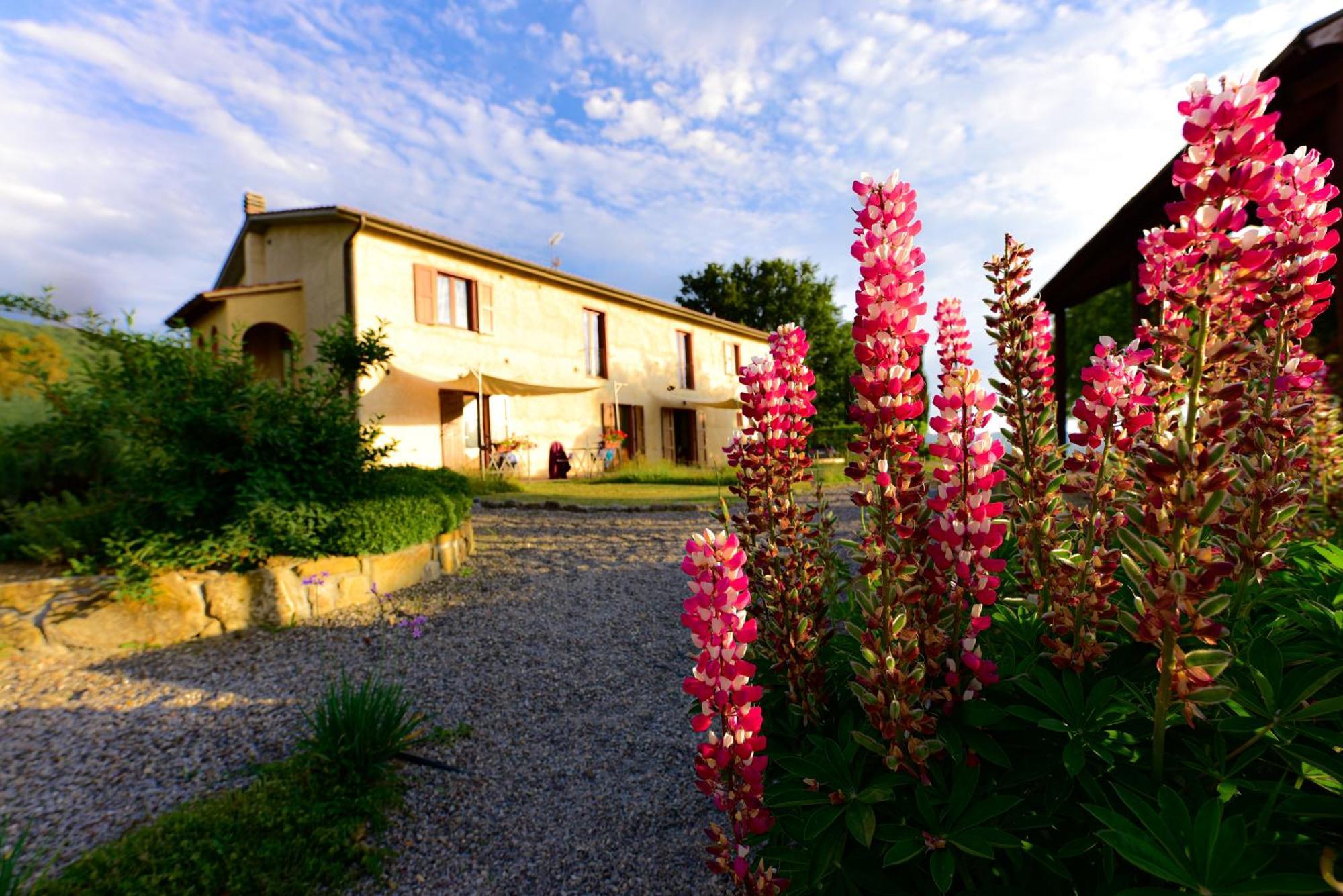Agriturismo Le Casaline Seggiano Exterior photo