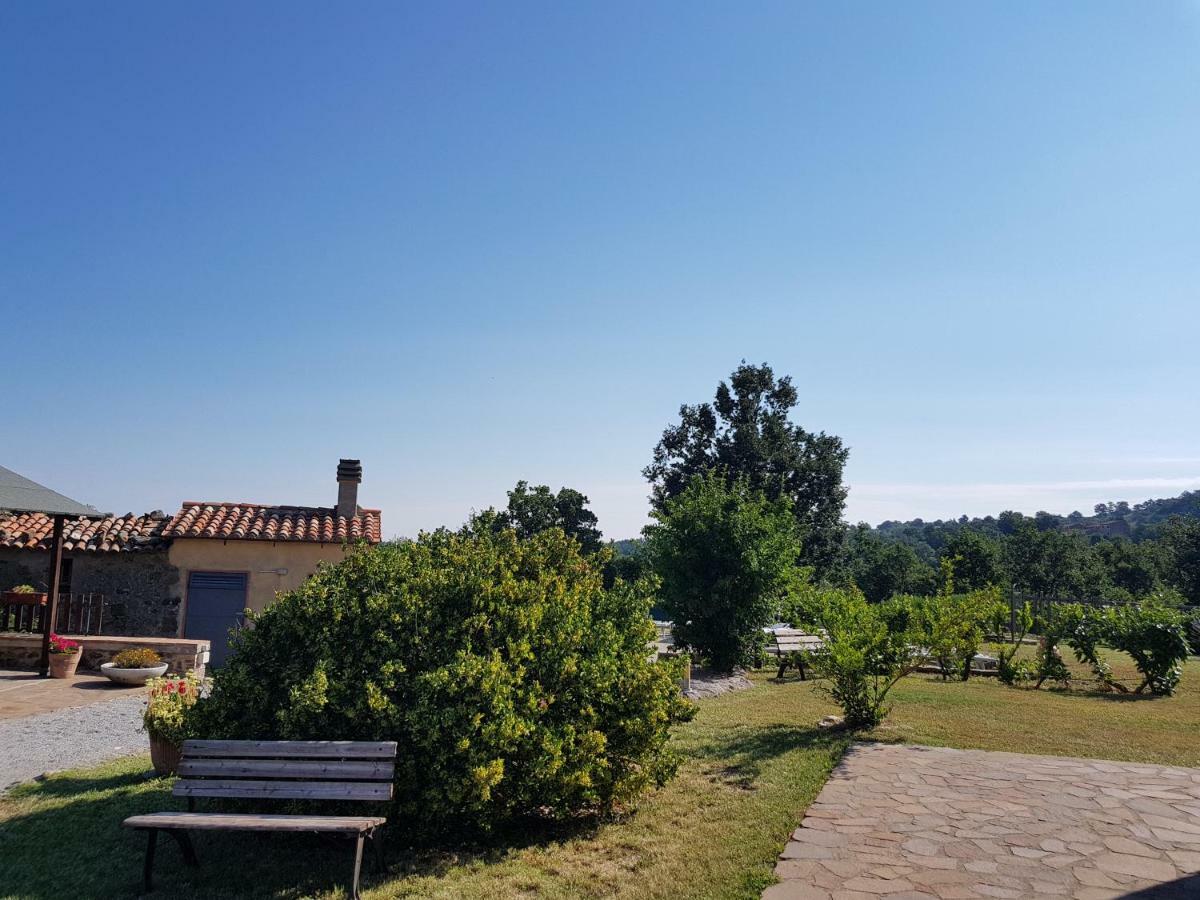 Agriturismo Le Casaline Seggiano Exterior photo