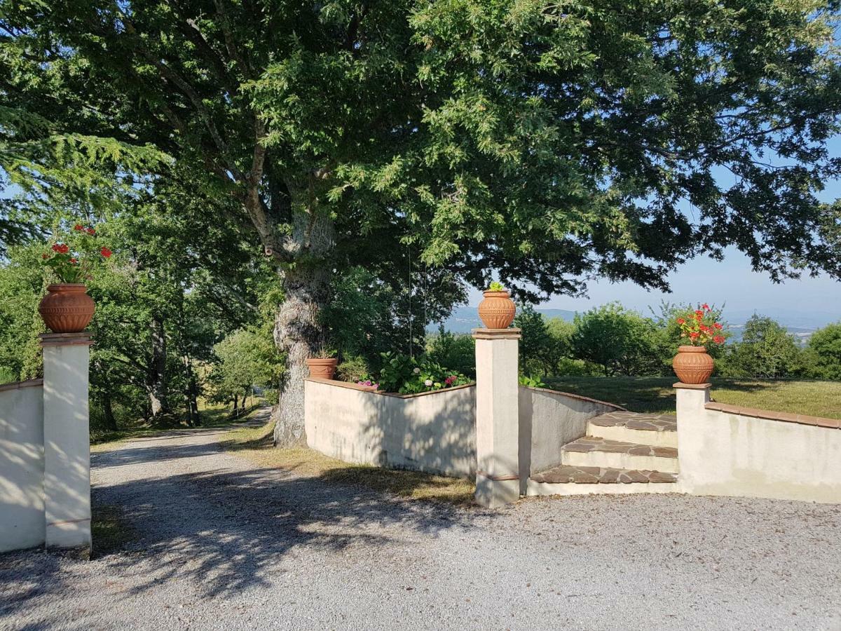 Agriturismo Le Casaline Seggiano Exterior photo