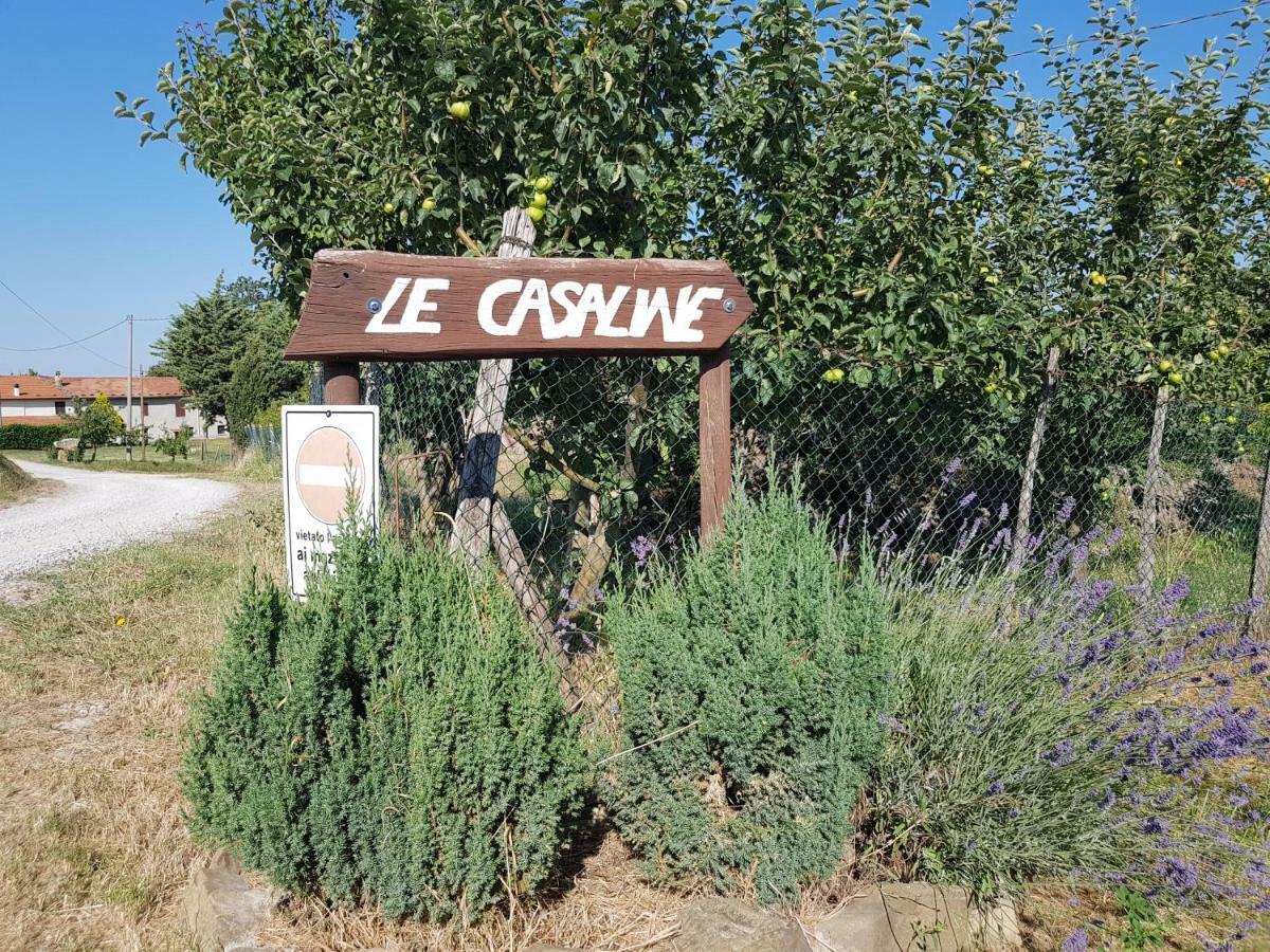 Agriturismo Le Casaline Seggiano Exterior photo